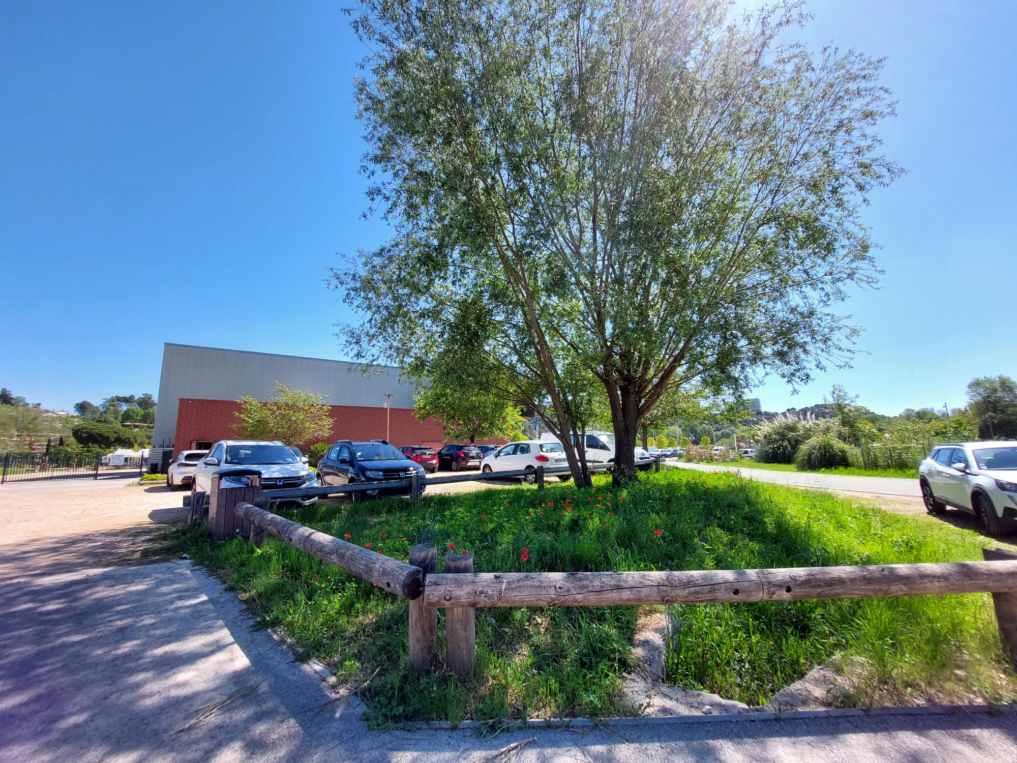 Habitat Zone rudérale