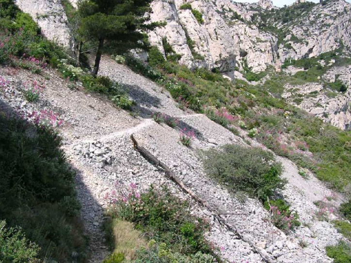 Habitat Éboulis ouest-méditerranéens et thermophiles