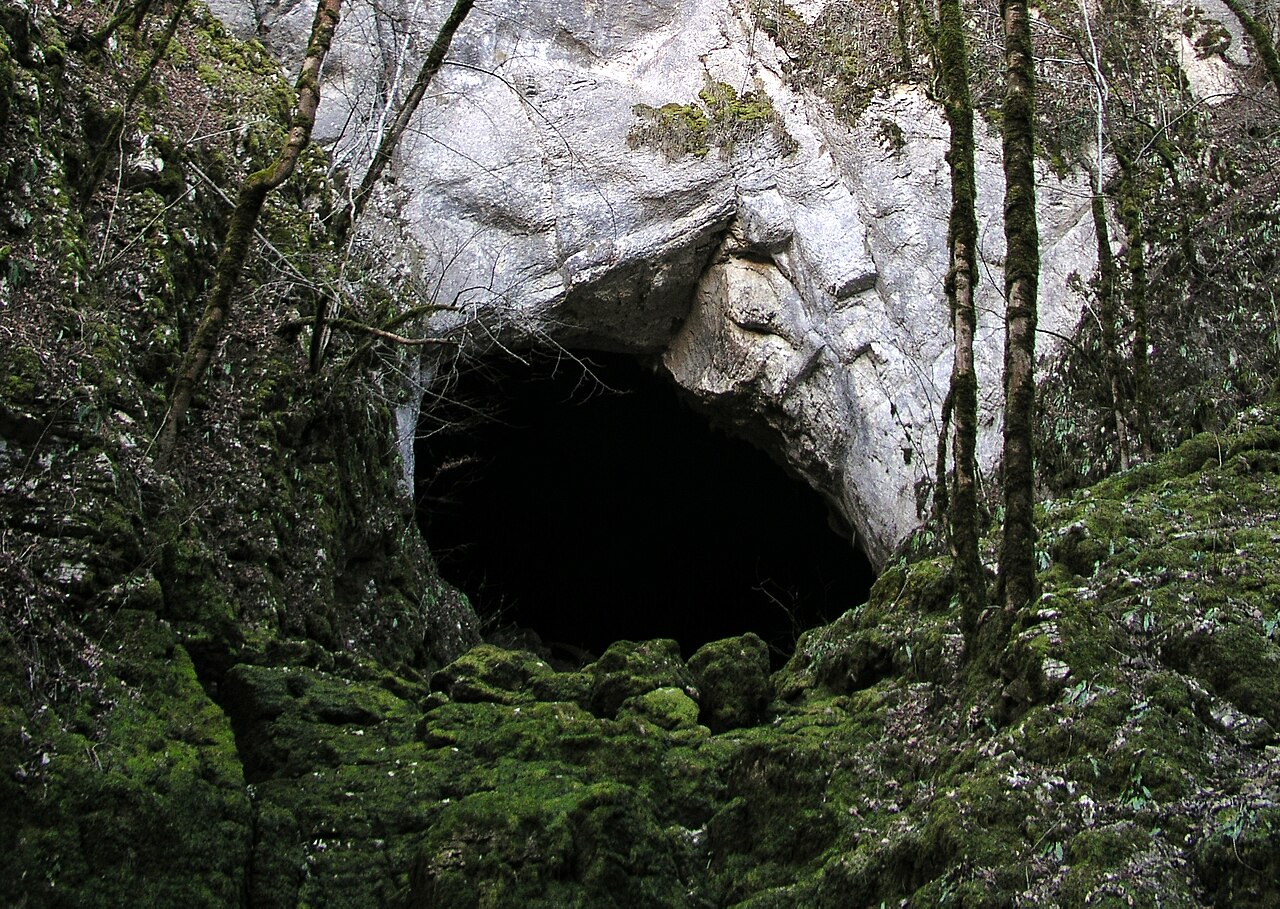 Habitat Grottes