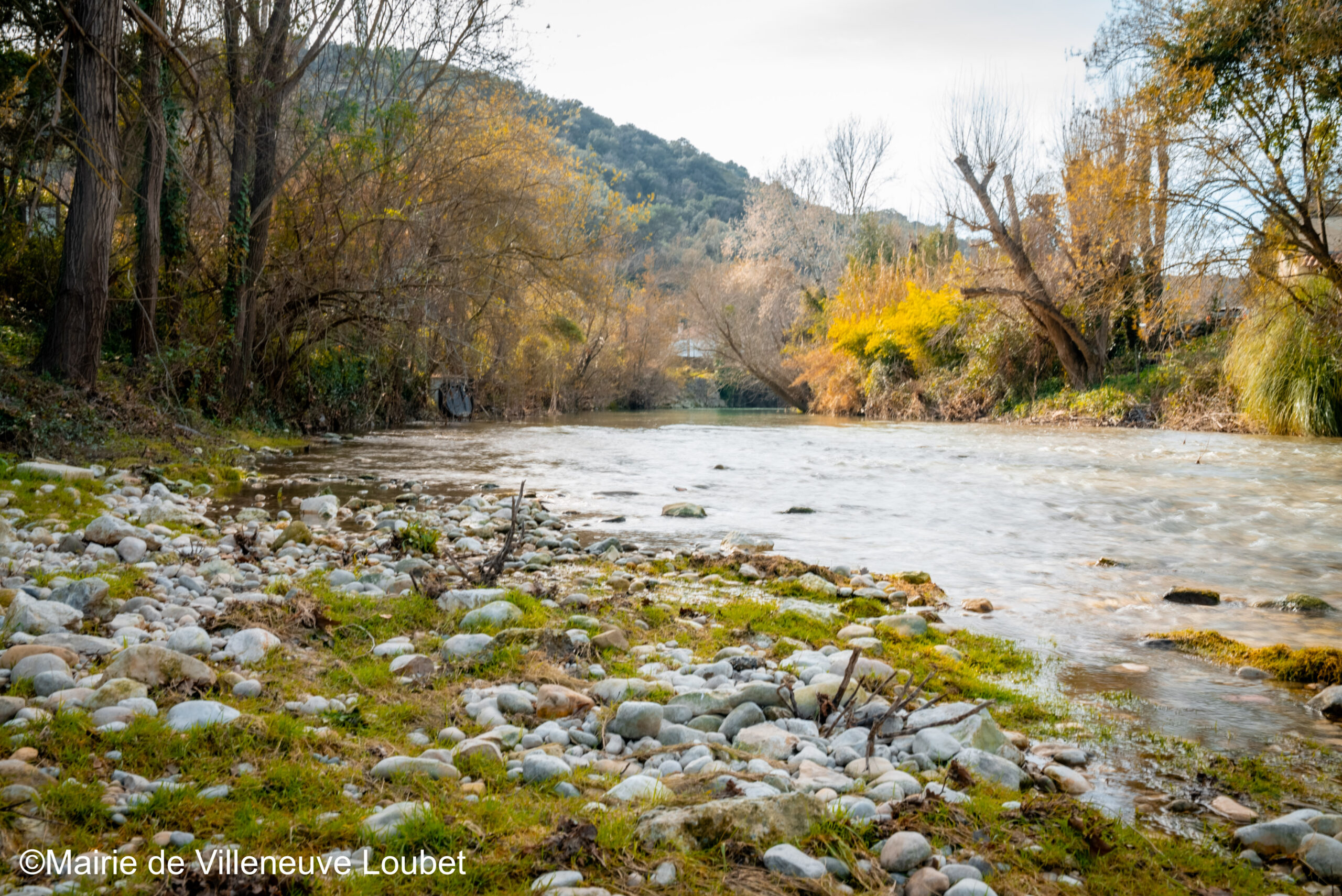 Habitat Lits des rivières
