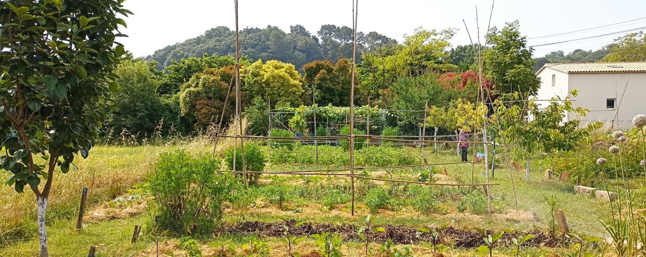 Habitat Culture extensive