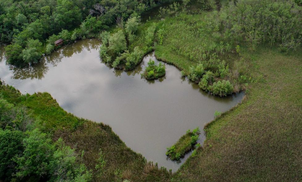 Nos amies, les zones humides !